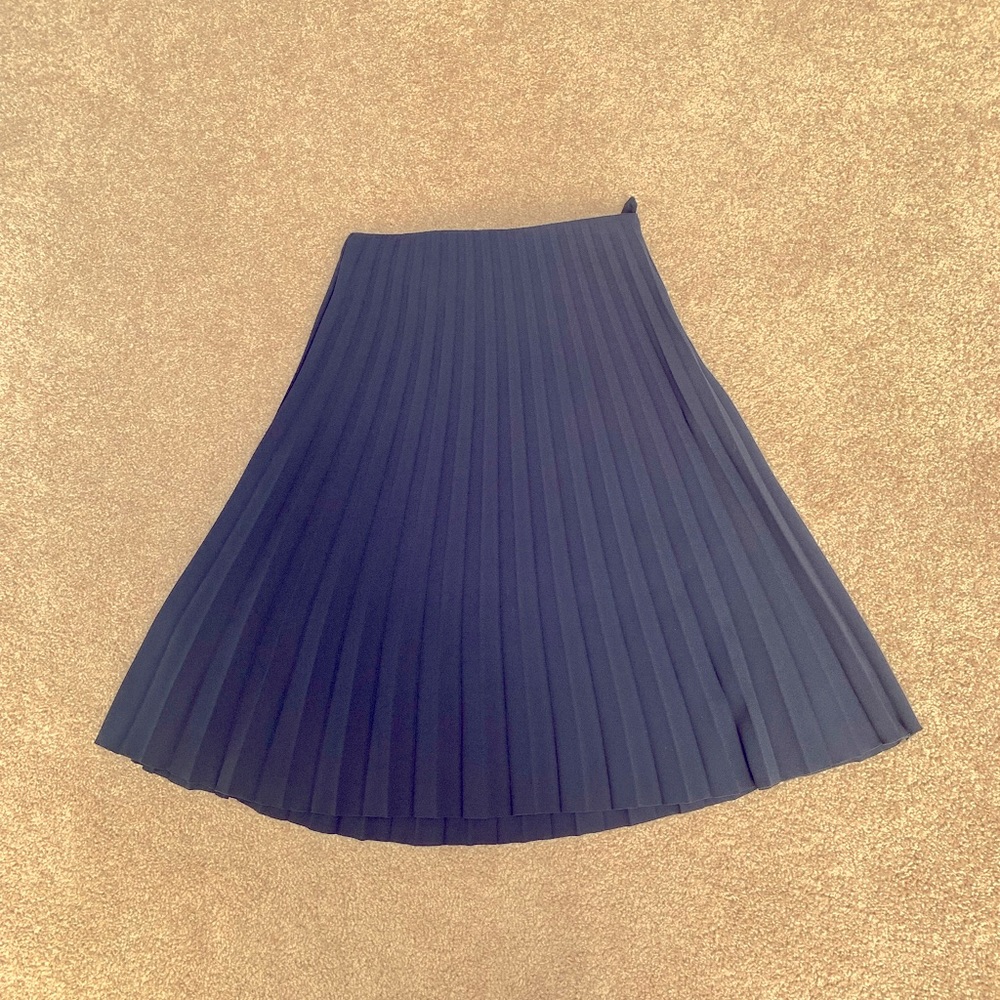 Everlane pleated skirt
